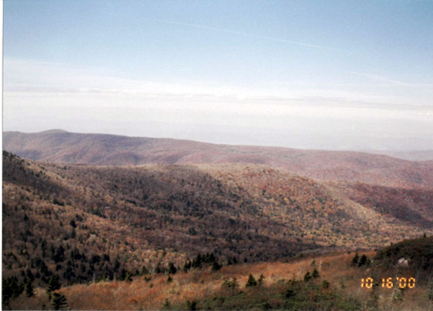 fallbreak00_52