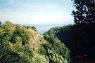 Clic here to see the picture (hawaii53.jpg)