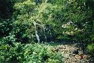 Clic here to see the picture (hawaii55.jpg)