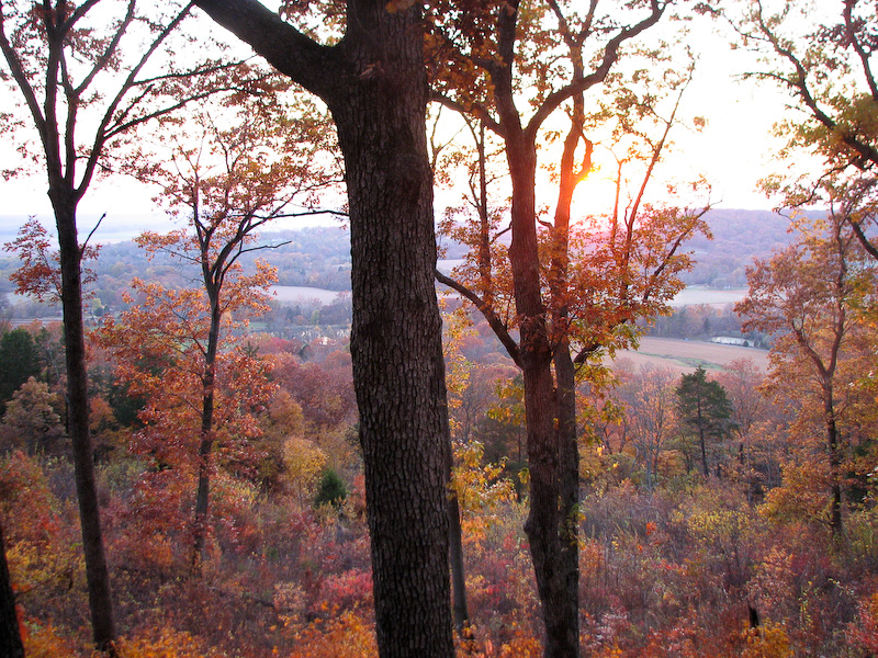 November 02, 2008