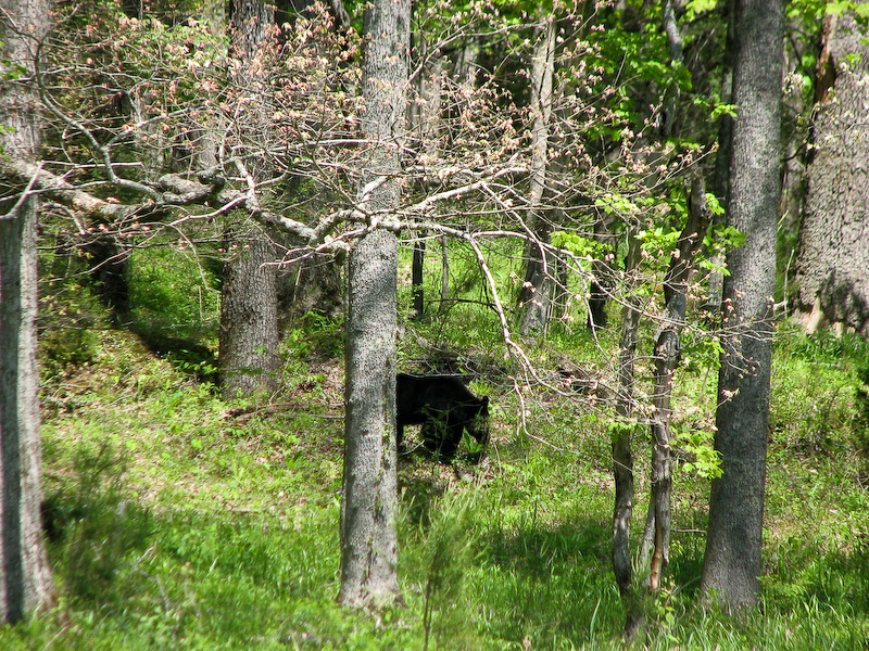April 30, 2010