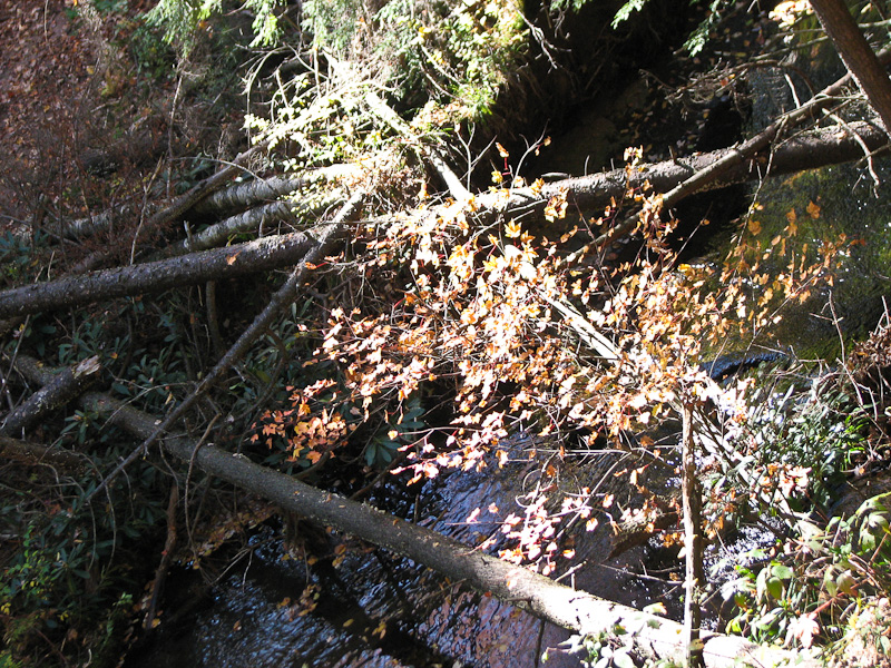 October 10, 2010