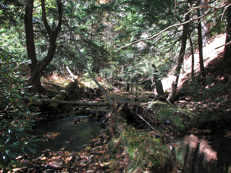 October 10, 2010