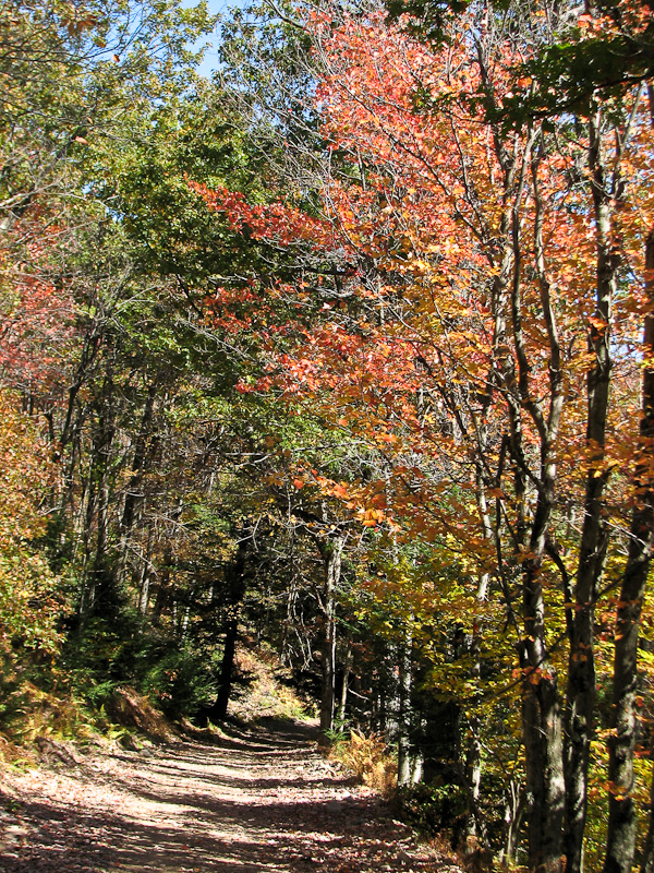 October 10, 2010
