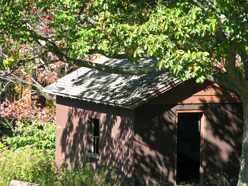 October 10, 2010